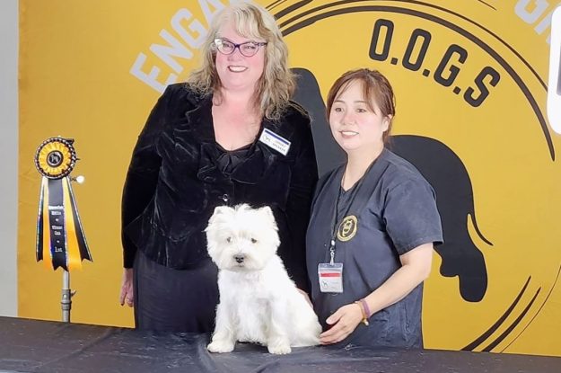 C&D Pet Studio Shines at the Ottawa Ontario Grooming Show!